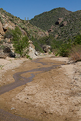 Badger Springs Wash