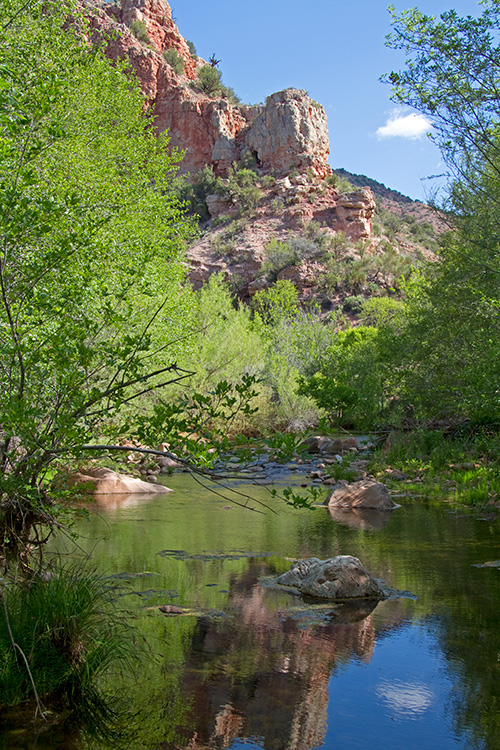 [Sycamore Creek]