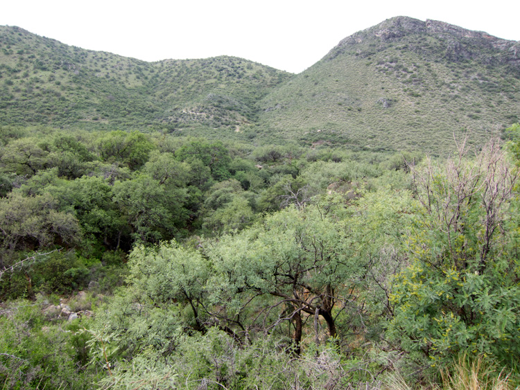 [Montoso Canyon Habitat]