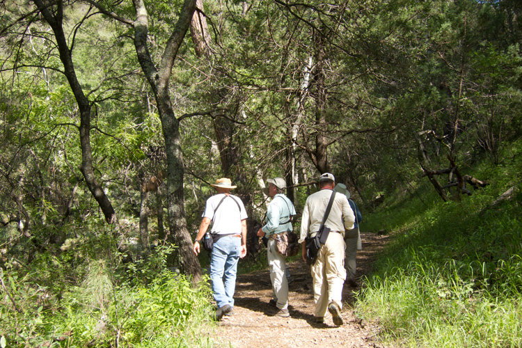 [Birding the Vault Mine Trail]