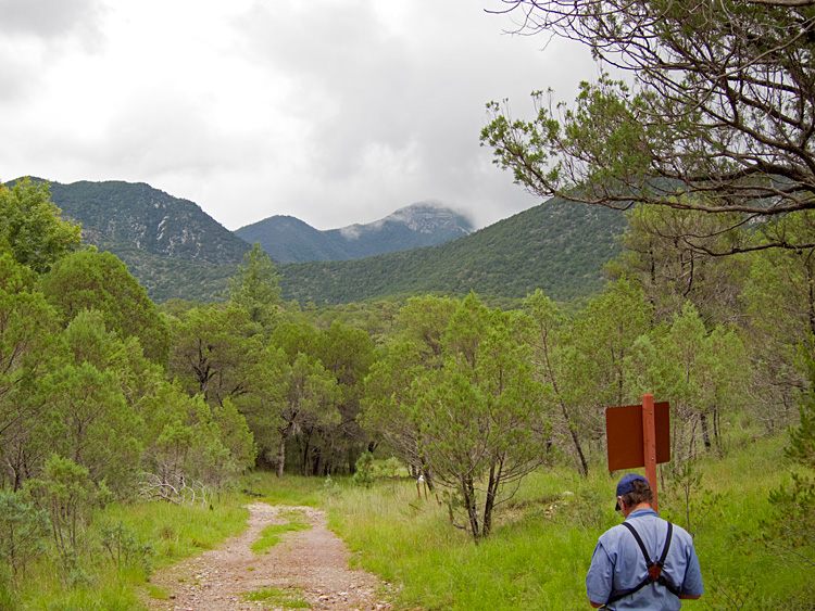 [View from Sawmill Canyon]