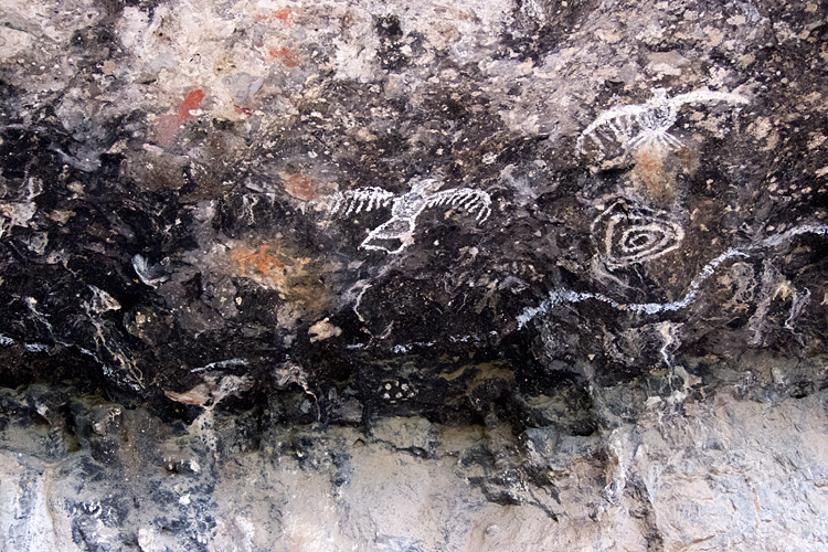 [Petrographs in Garden Canyon]