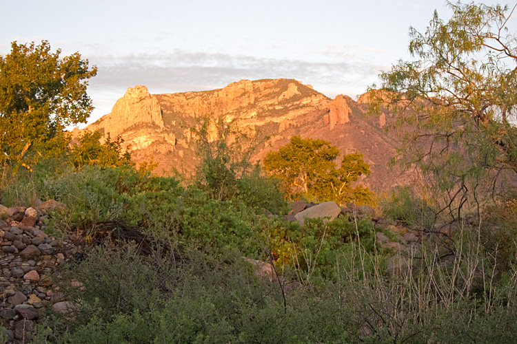 [Chircahuas at Sunrise]