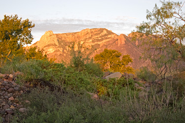 Chiricahua at Sunrise