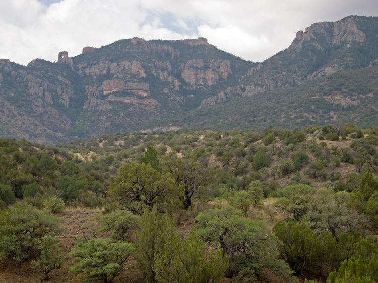 [Chiricahuas on Paradise Road]