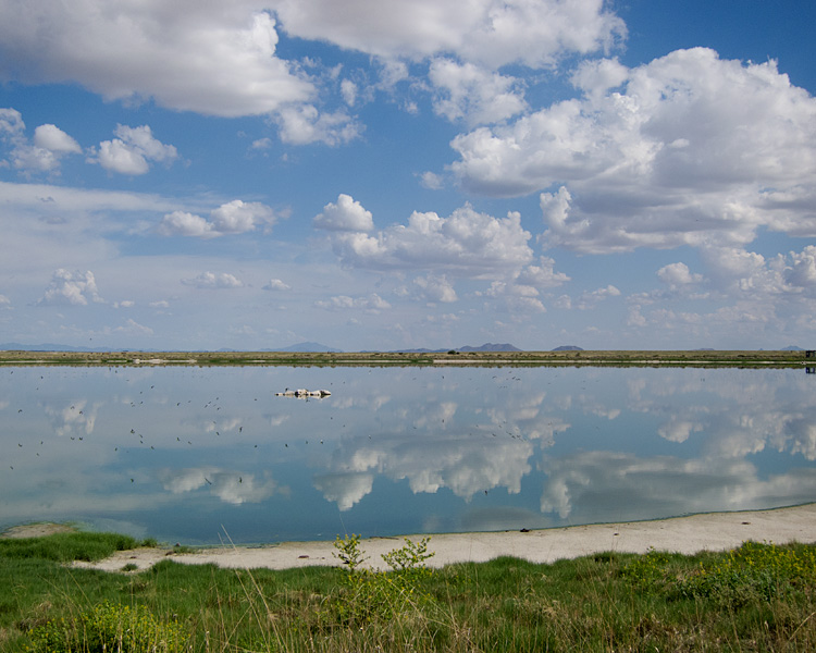 [Lake Cochise]