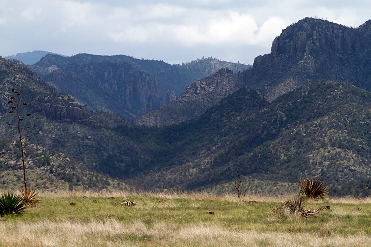 [Looking up Pinery Canyon]