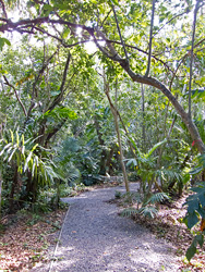Path at the Retreat