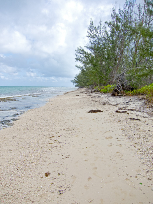 [Beach near the Marina]