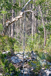 Uncle Charlie's Blue Hole