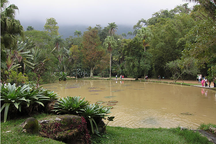 [Lago Frei Leandro]