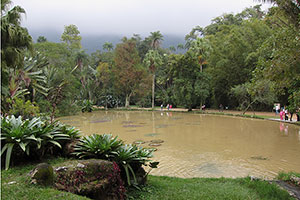 Lago Frei Leandro