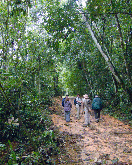 [Up the Waterfall Trail]