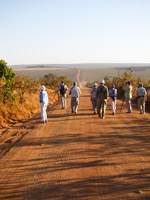 Roadside Birding