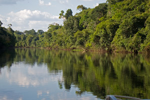 Rio Cristalino