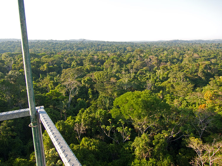 [View from Cristalino Tower]