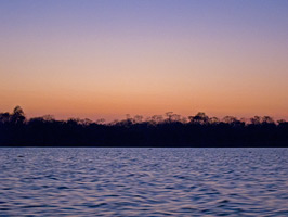 Pantanal Sunset