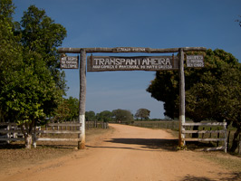 Transpantaneira