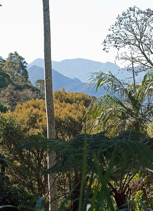 [View from the Road]