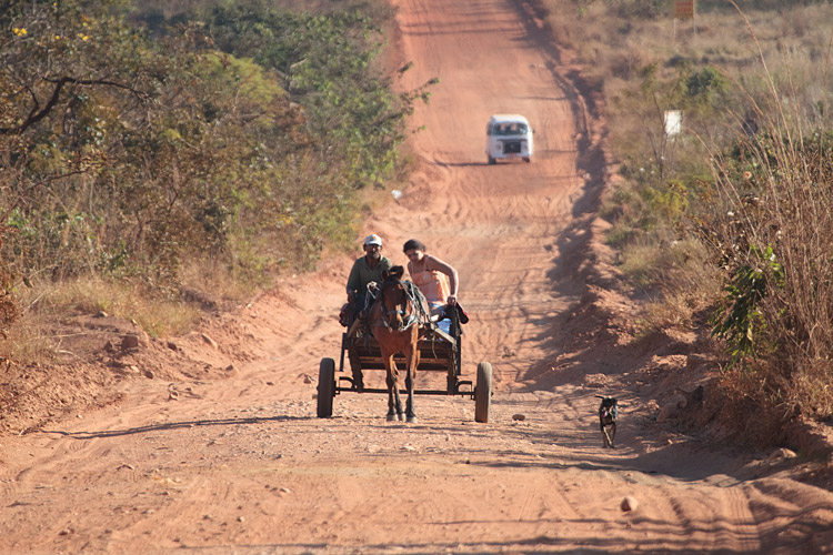 [Horse Cart]