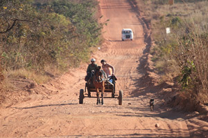 Horse Cart