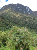 Cliffs at Laguna Llaviucu