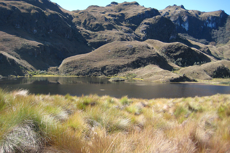 [Andean Lake]