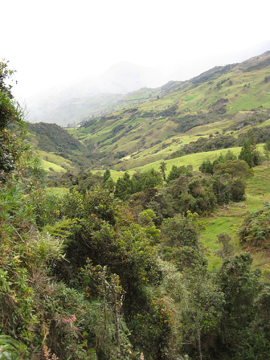 [Andean View]