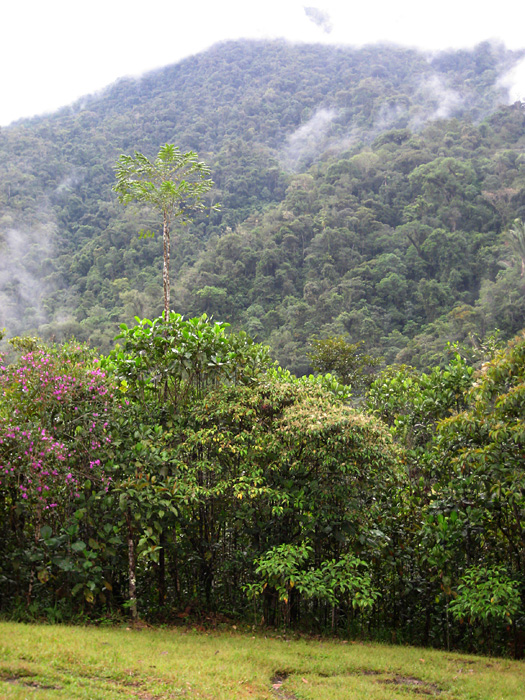 [View From Visitor's Center]