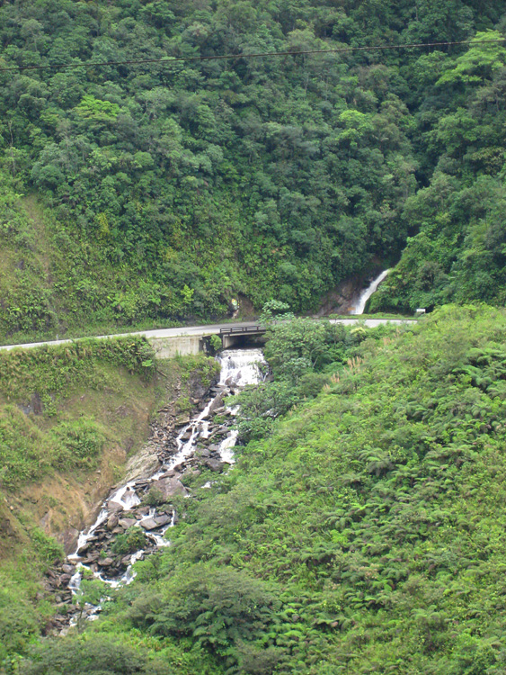 [Bridge on Old Zamora Road]