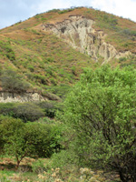 Roadside Cliff