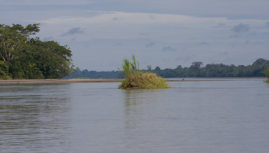 [Napo River View]