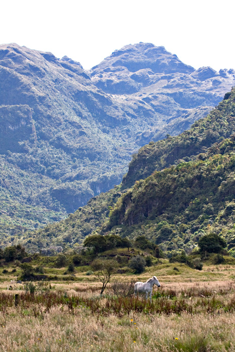 [Horse and Hills]