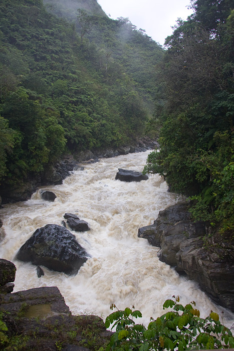 [Rio Zamora]