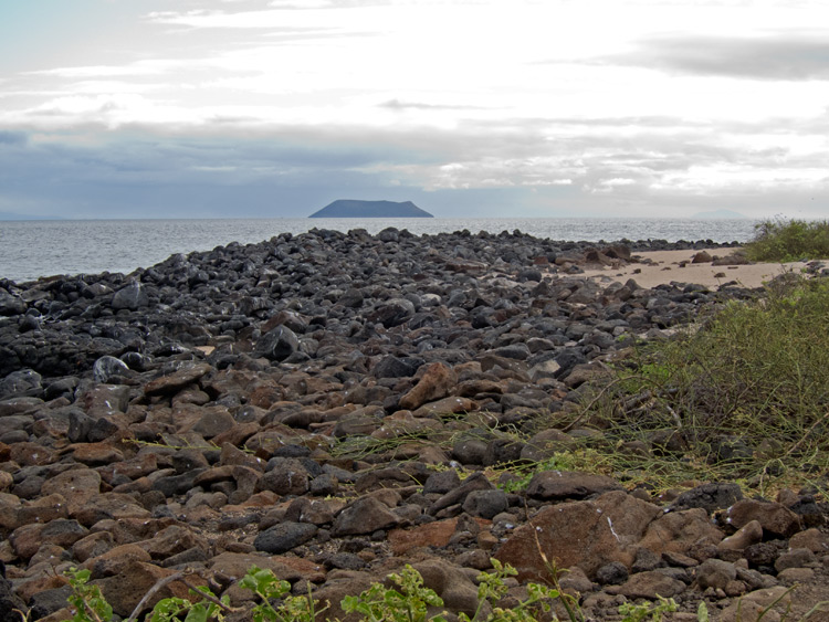 [Volcanic Beach, North Seymour]