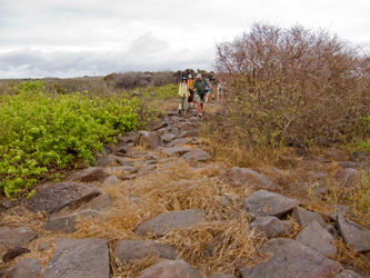 Rocky Trail