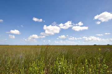 Sky and Prairie