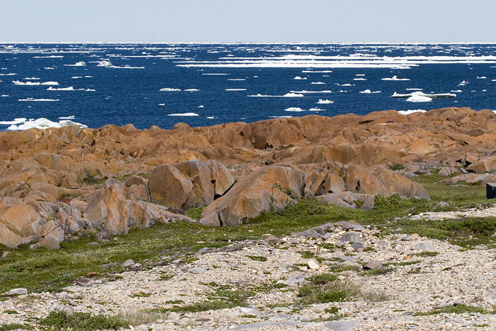 [Sea Ice and Rocky Shore]