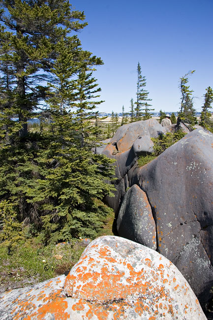 [Rocks, Spruce, and Bay]