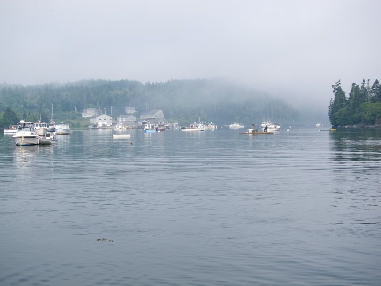 [Foggy Harbor]