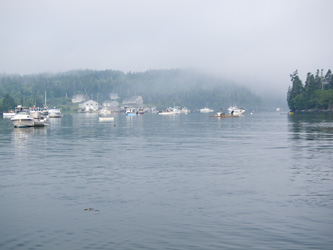 Foggy Harbor