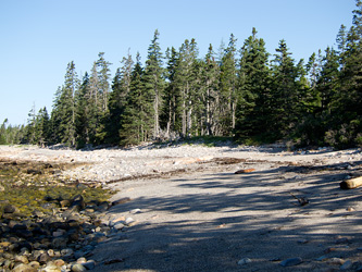 Wonderland Trail Seashore