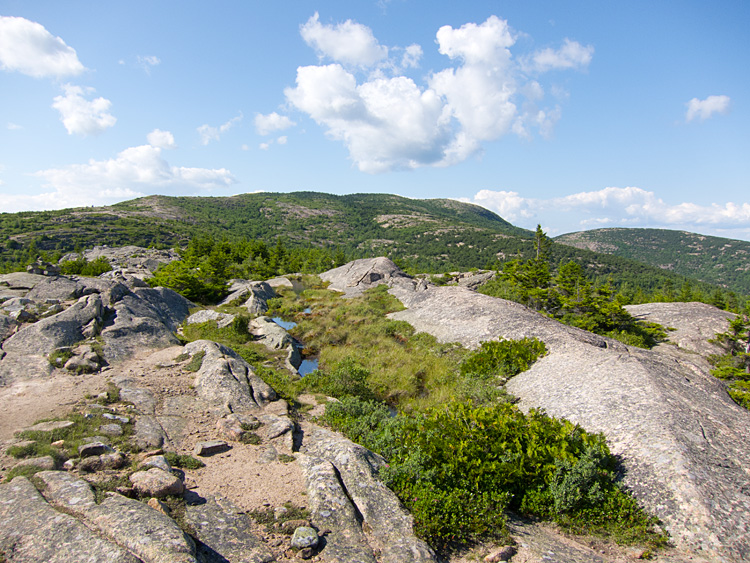 [Looking up the Trail]