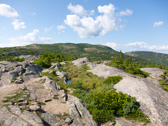 Looking up the Trail