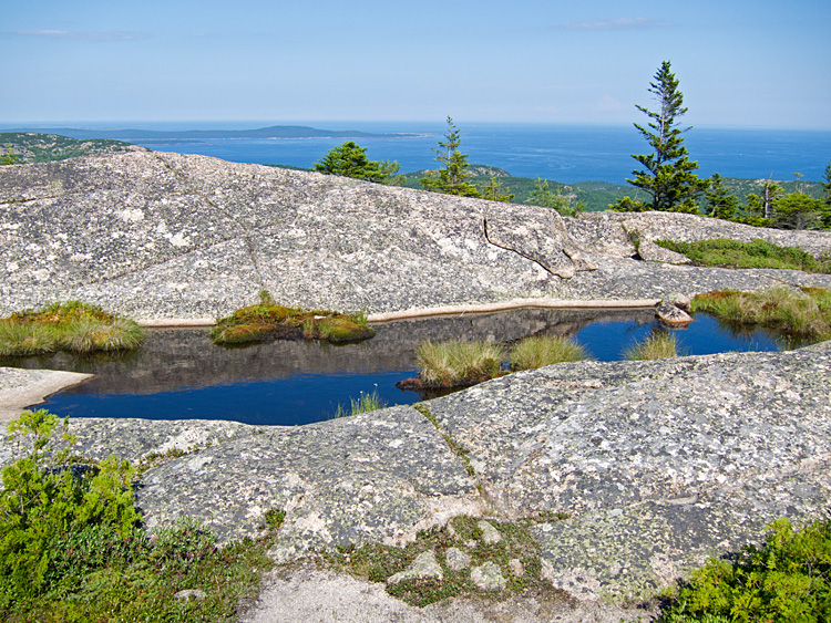 [Waterpocket on Cadillac Mountain]