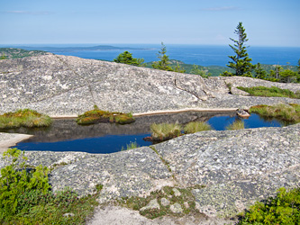 Waterpocket on Cadillac Mountain