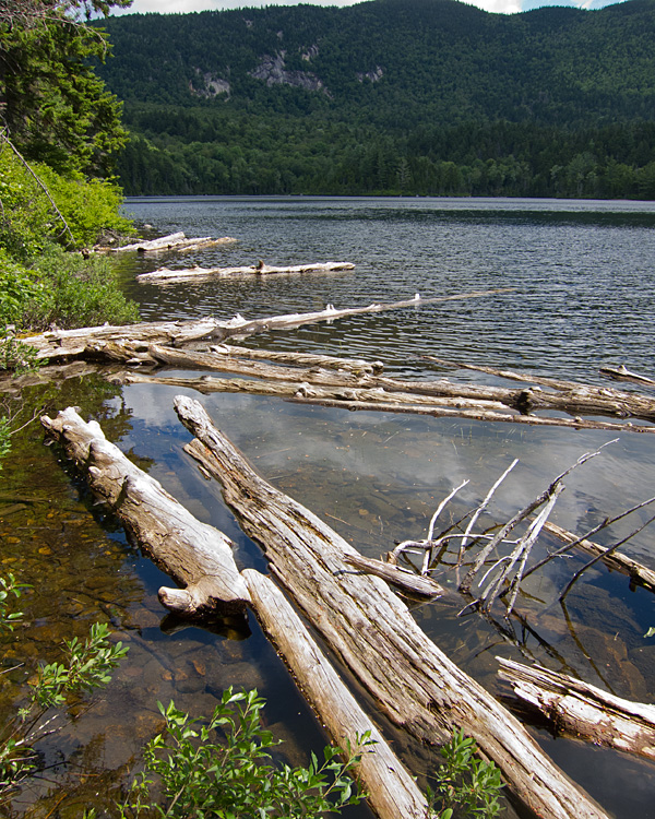 [Sawyer Pond]