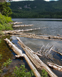 Sawyer Pond