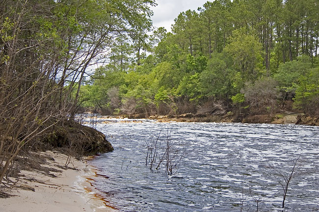 [Big Shoals: View from Beach]