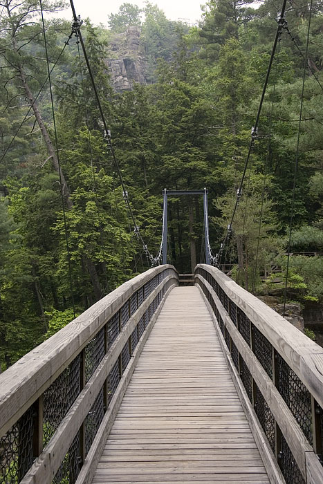 [Tallulah Gorge: Swinging Bridge]